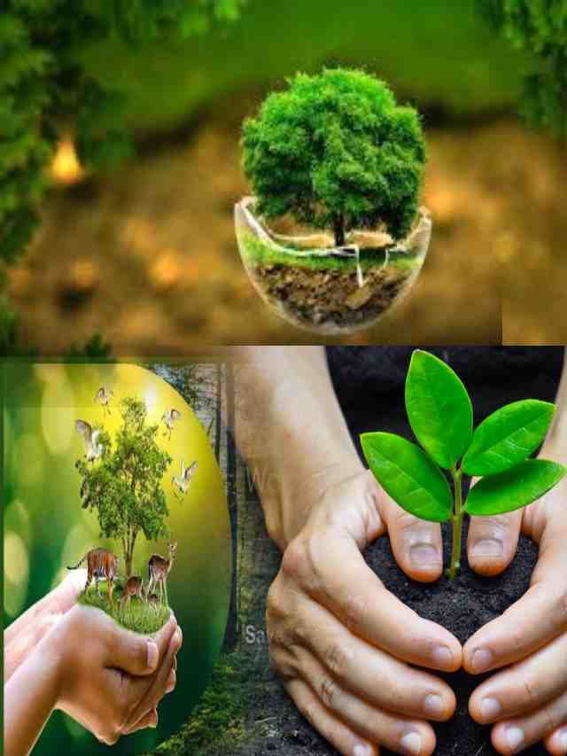 >ప్రపంచ అటవీ దినోత్సవం : జంగిల్ బచావో- జంగిల్ బడావో..