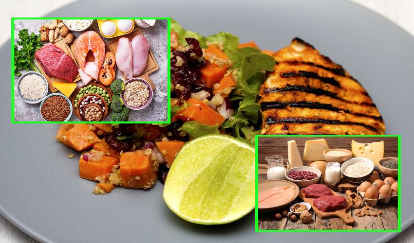 Protein Foods
