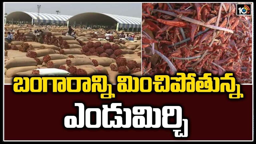 Red Chillies