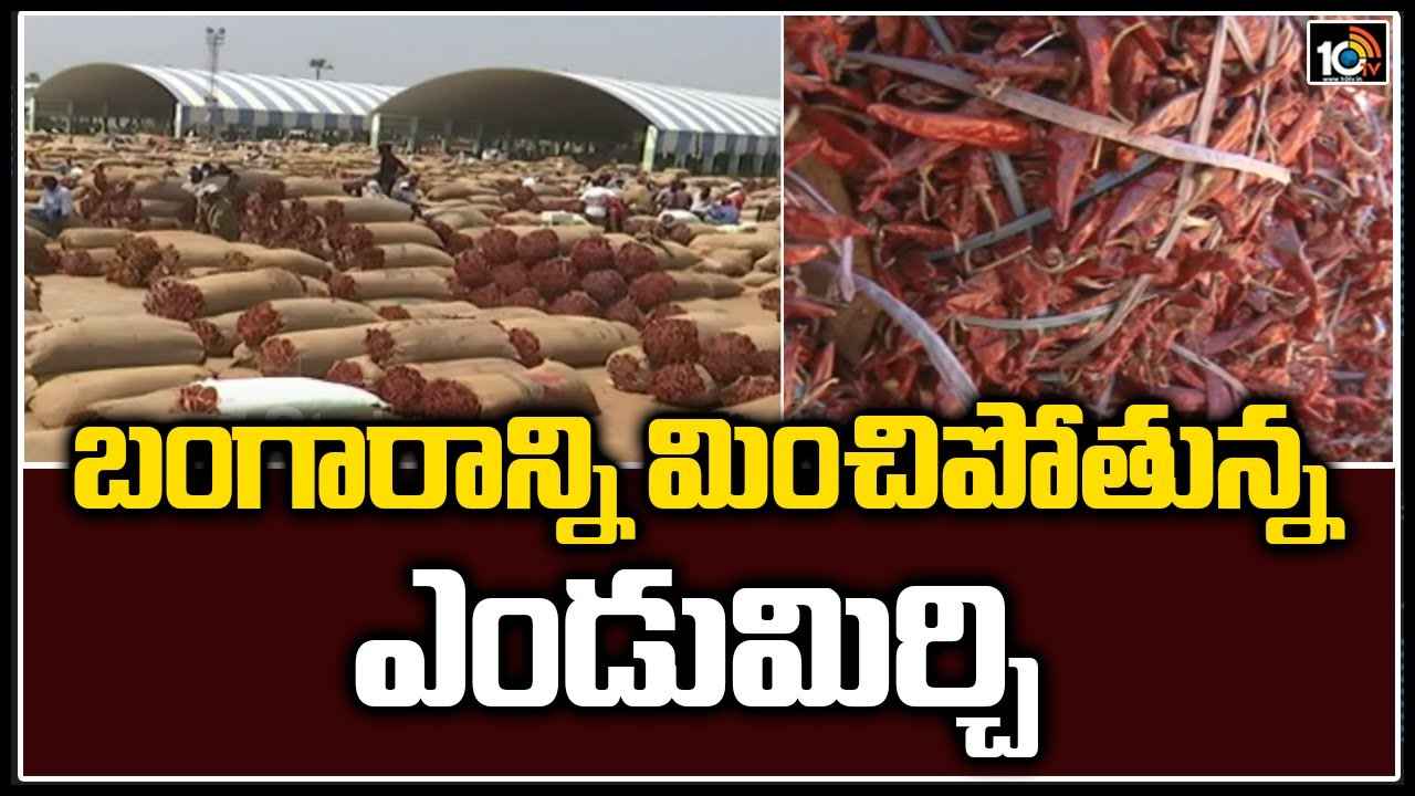 బంగారాన్ని మించిపోతున్న ఎండుమిర్చి