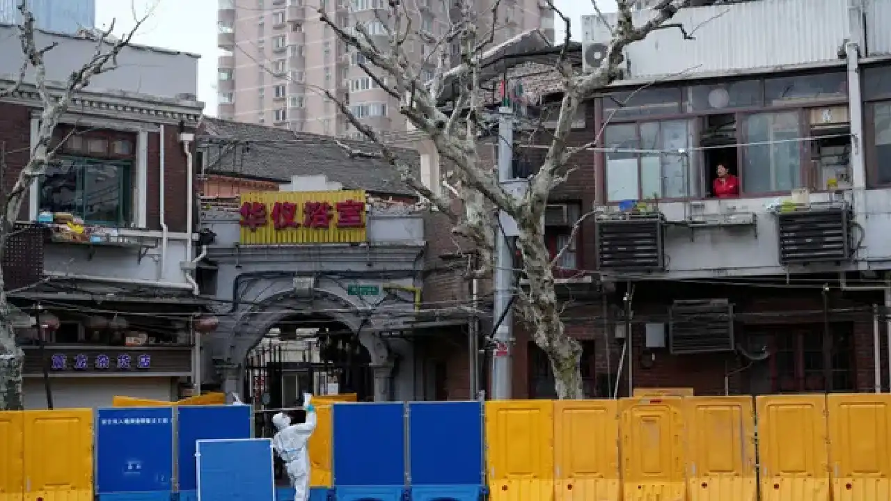 Shanghai Covid