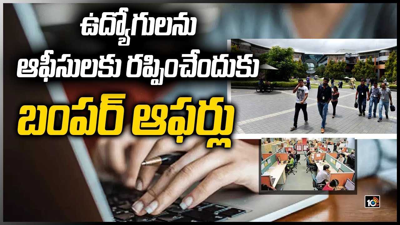 Work from Home: ఉద్యోగులను ఆఫీసులకు రప్పించేందుకు బంపర్ ఆఫర్లు