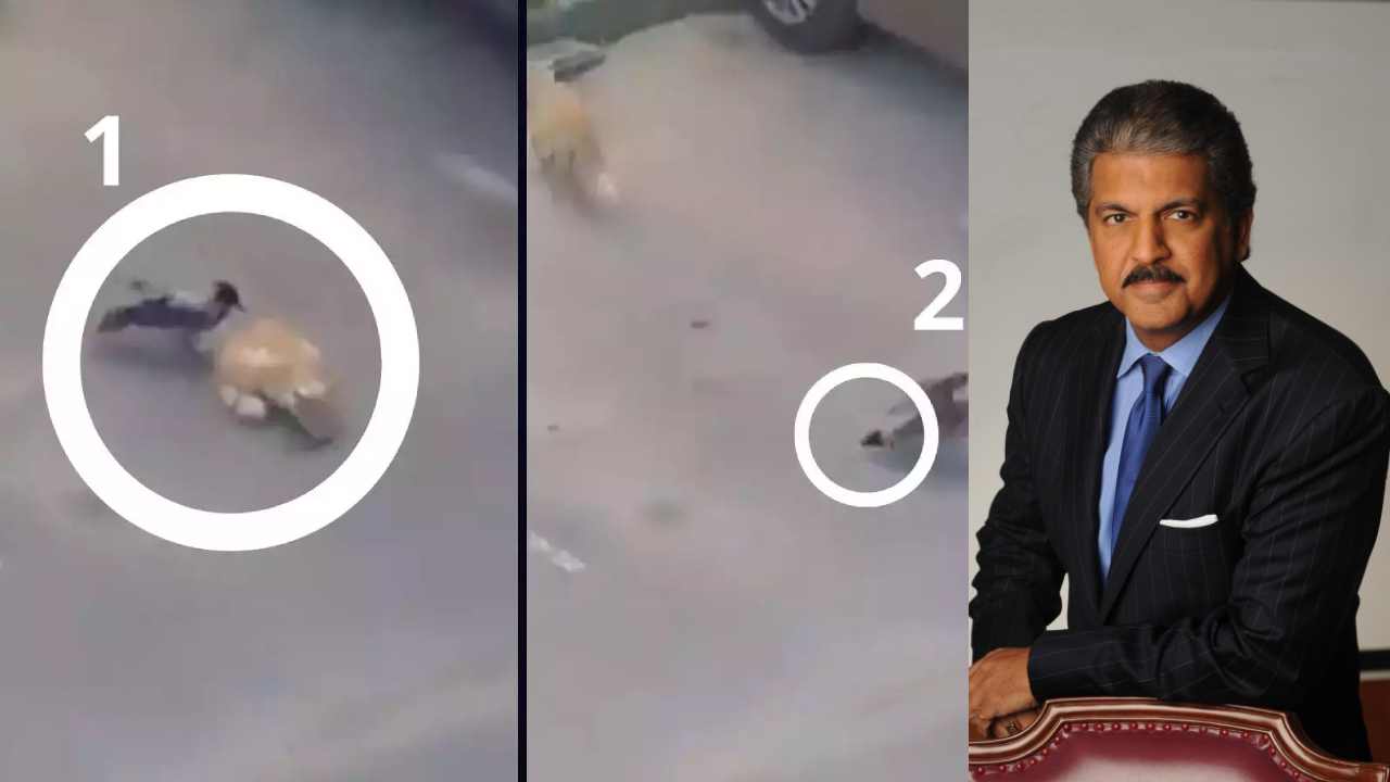 Anand Mahindra: ఆ విషయం చెప్తే.. నా జాబ్ పోతుంది – ఆనంద్ మహీంద్రా Anand Mahindra: ఆ విషయం చెప్తే.. నా జాబ్ పోతుంది – ఆనంద్ మహీంద్రా