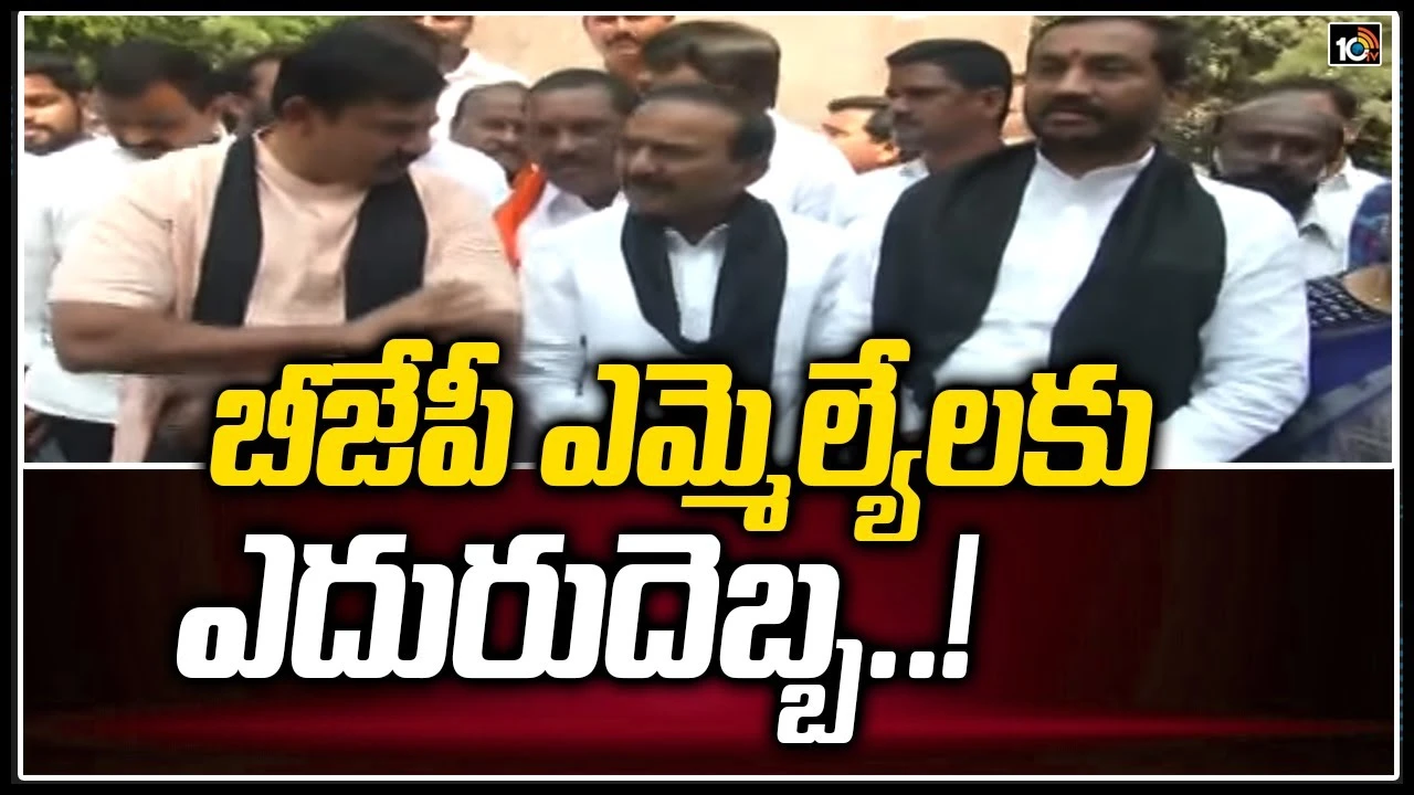 Bjp Mlas