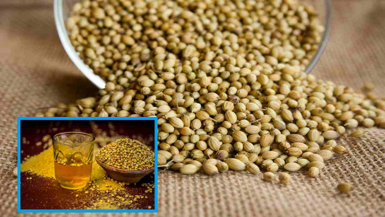 Coriander : కంటిచూపు మెరుగుపరచటంతోపాటు..బరువును తగ్గిస్తాయి Coriander : కంటిచూపు మెరుగుపరచటంతోపాటు..బరువును తగ్గిస్తాయి