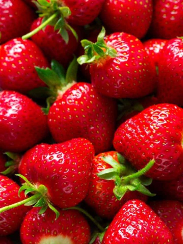 స్ట్రాబెర్రీ ఫ్రూట్స్ బెనిఫిట్స్ 10TV Telugu Strawberry fruits benefits10TV Telugu