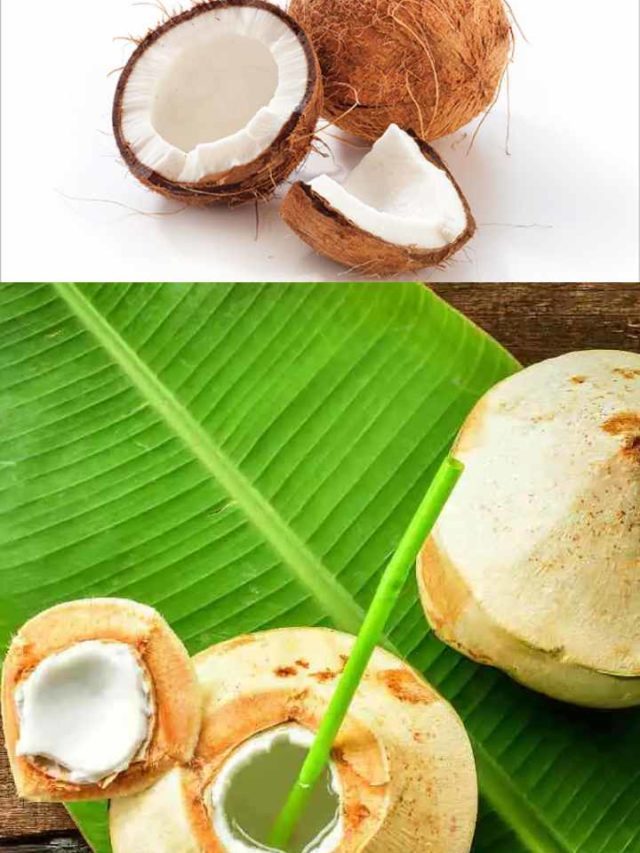 >పచ్చి కొబ్బరితో బోలెడు ప్రయోజనాలు