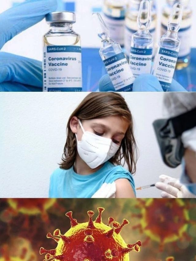>భారత్‌లో మరో కరోనా వ్యాక్సిన్
