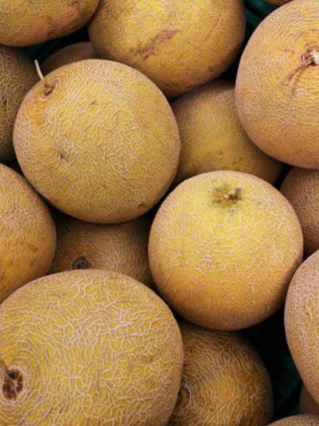 >కర్భూజా ఒక్క పండుతో లాభాలెన్నో..