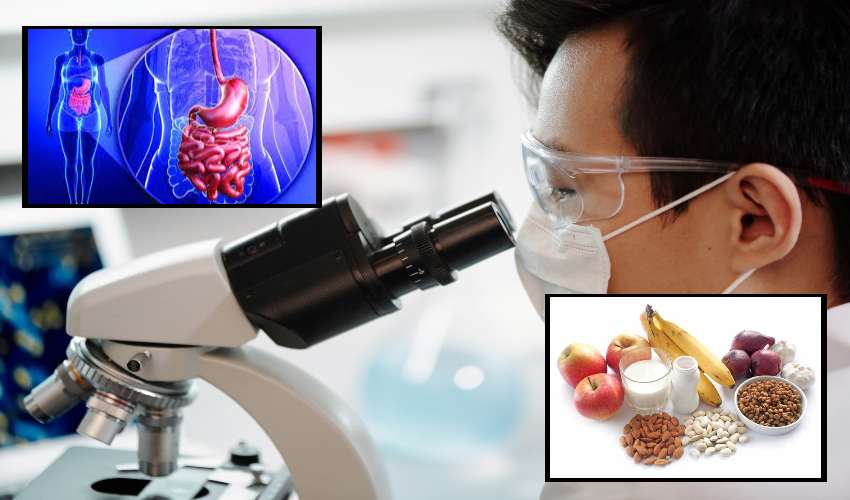 Good Bacteria : బరువును తగ్గించటంలో మంచి బాక్టీరియా పాత్ర ఎంతంటే? Good Bacteria : బరువును తగ్గించటంలో మంచి బాక్టీరియా పాత్ర ఎంతంటే?