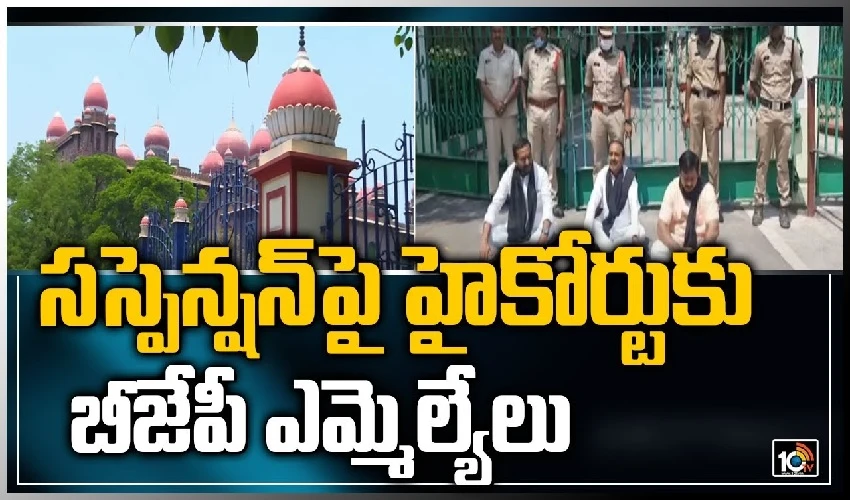 Mlas Suspension