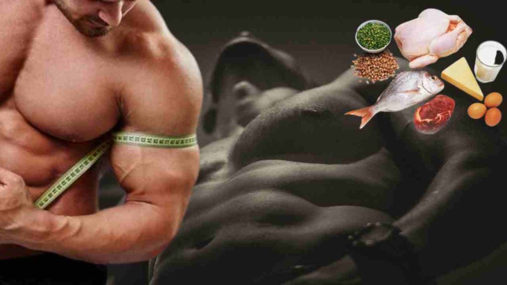 Muscle Building