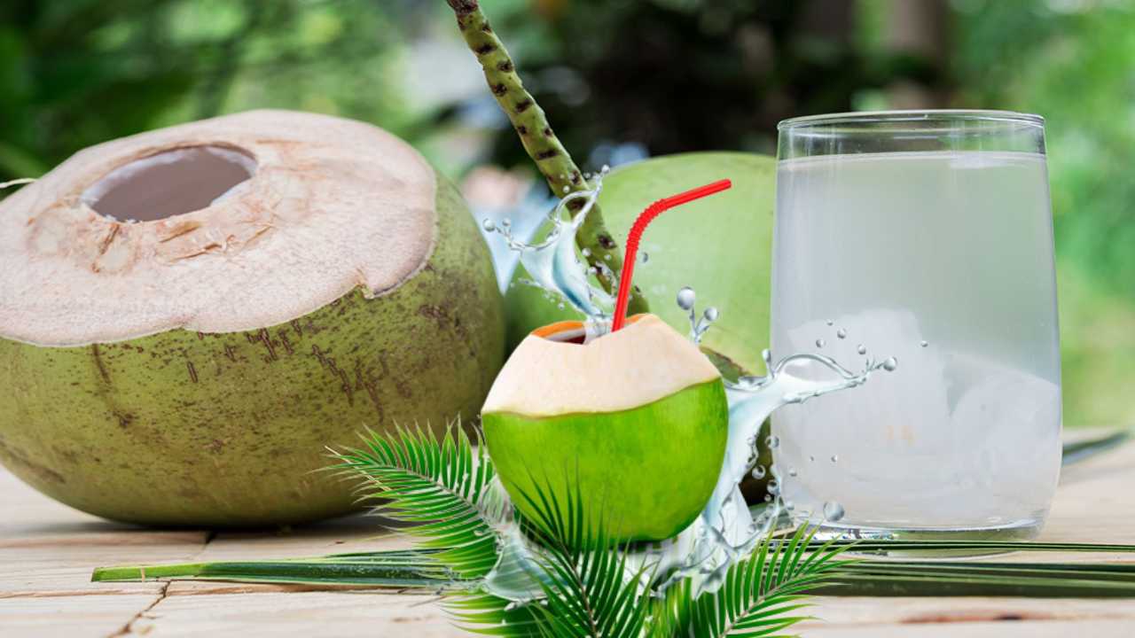 Coconut Water : వేసవిలో కొబ్బరి నీరు ఆరోగ్యానికి ఎంత మంచిదంటే!. Coconut Water : వేసవిలో కొబ్బరి నీరు ఆరోగ్యానికి ఎంత మంచిదంటే!.