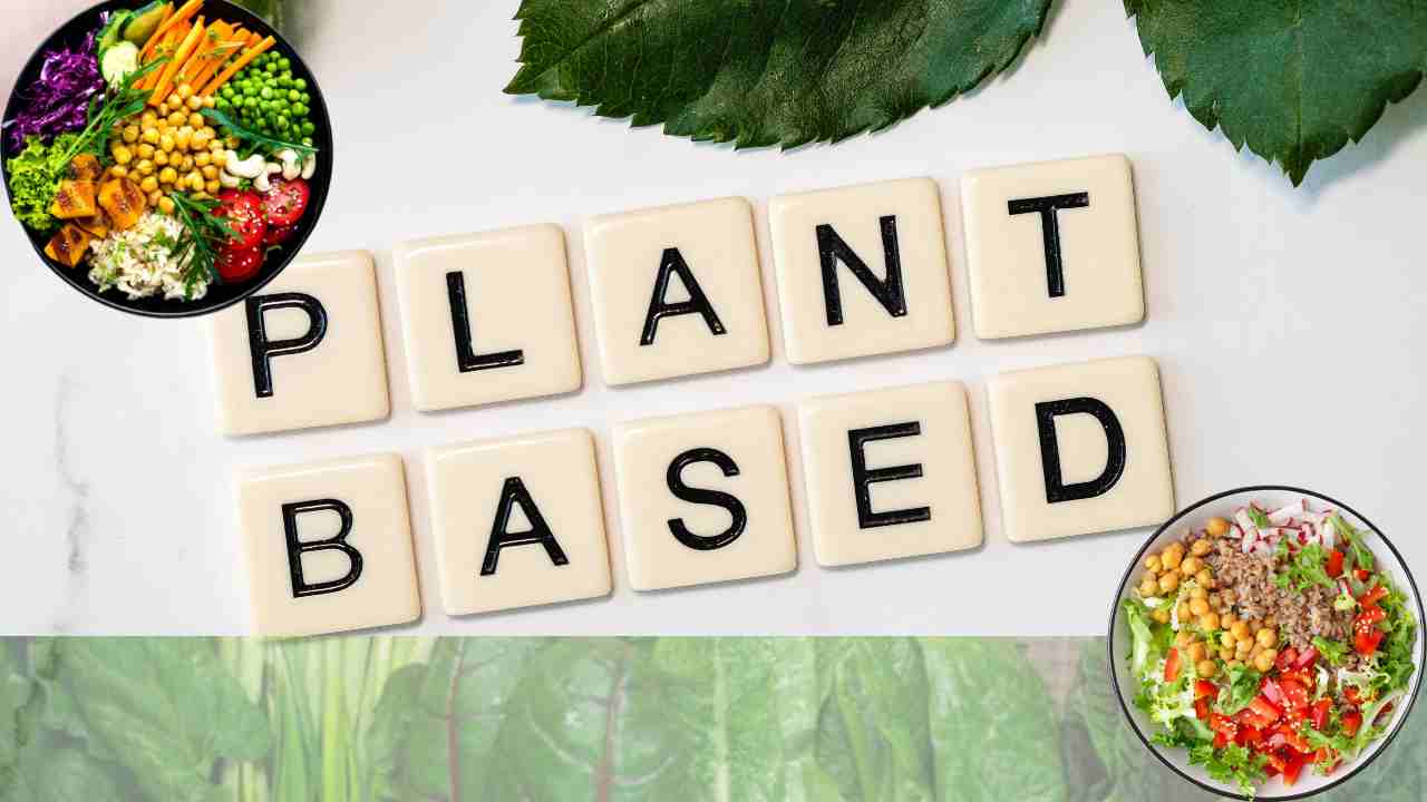 Plant Based Foods : మొక్కల ఆధారిత ఆహారాలు.. శరీరానికి బెస్ట్ అంటున్న నిపుణులు Plant Based Foods : మొక్కల ఆధారిత ఆహారాలు.. శరీరానికి బెస్ట్ అంటున్న నిపుణులు