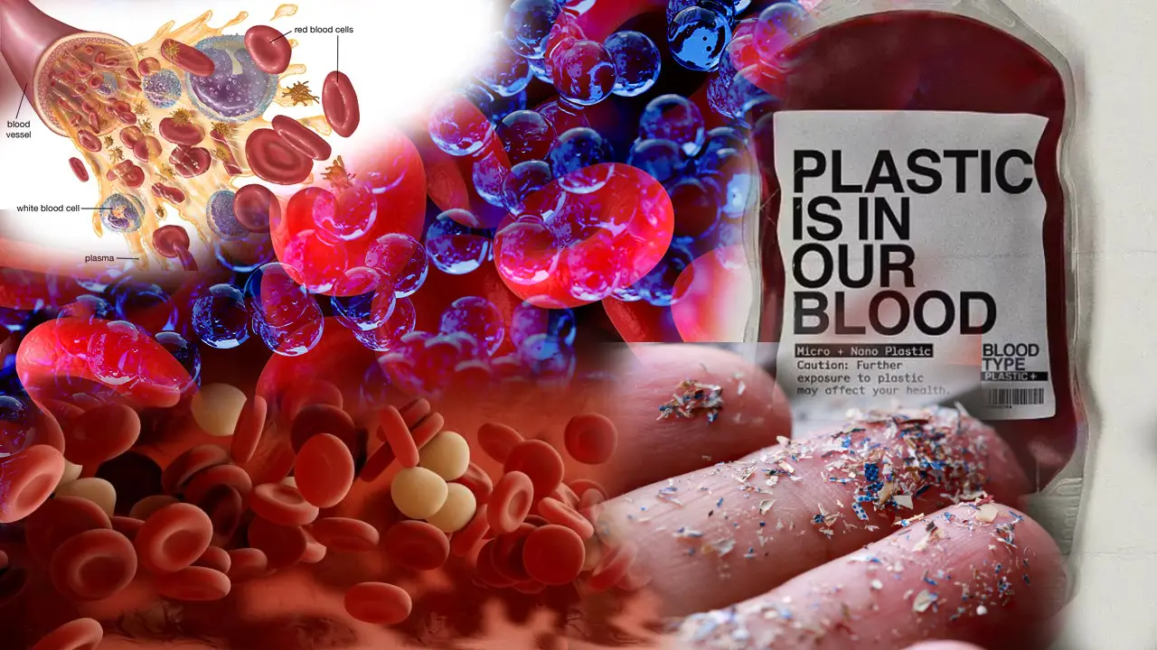 Plastic Found In Human Blood (2)
