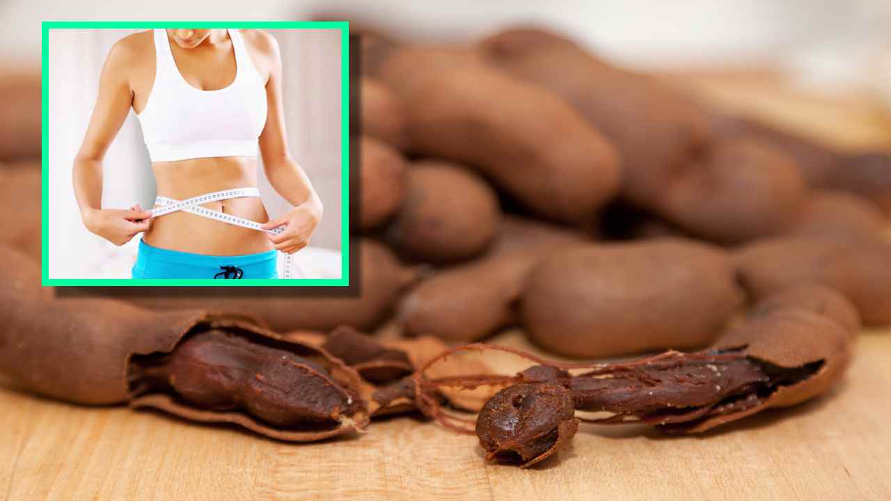 Tamarind : బరువును తగ్గించటంలో… చింతపండు ఏవిధంగా ఉపయోగపడుతుందంటే?… Tamarind : బరువును తగ్గించటంలో… చింతపండు ఏవిధంగా ఉపయోగపడుతుందంటే?…