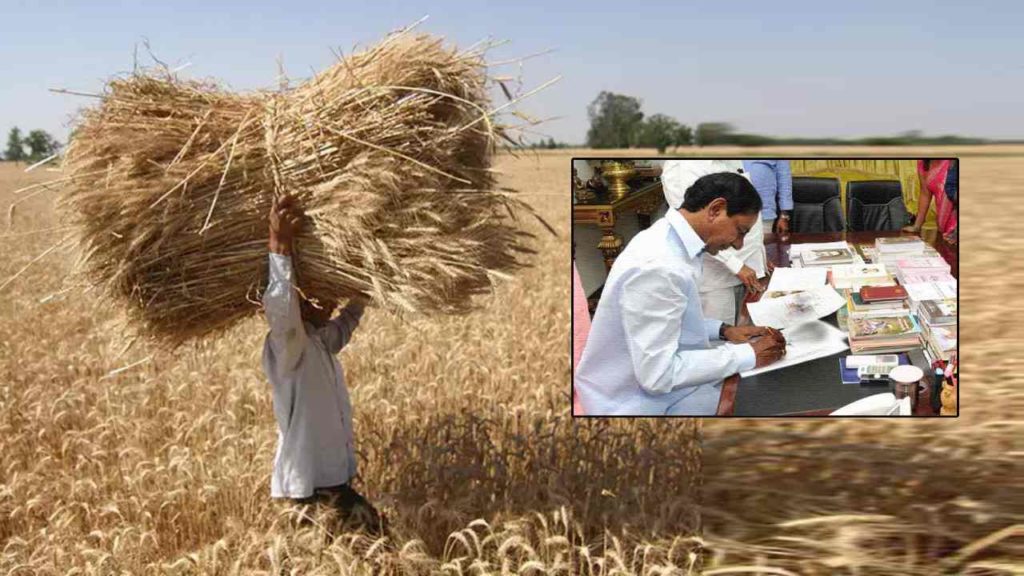 Telangana Farmers