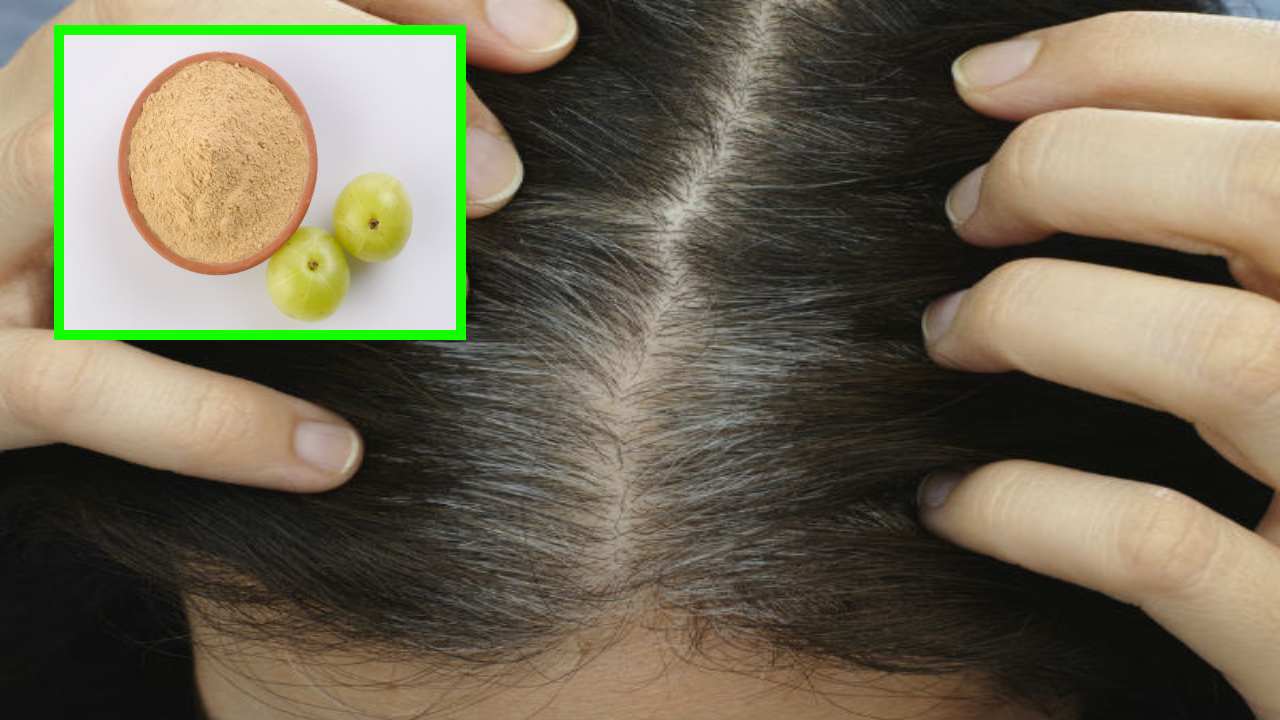 Amla Powder : తెల్లజుట్టును నల్లగా మార్చే ఉసరిపొడి! Amla Powder : తెల్లజుట్టును నల్లగా మార్చే ఉసరిపొడి!
