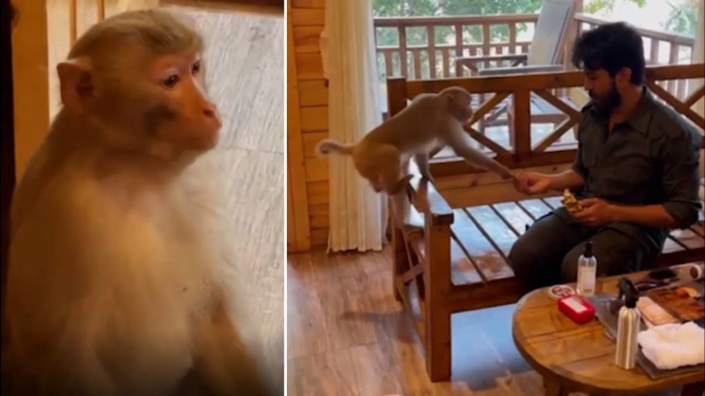 Chiranjeevi Posts A Special Video On Occassion Of Hanuman Jayanthi