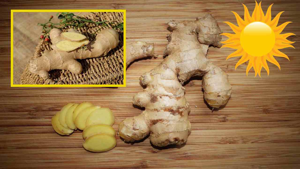 Ginger : వేసవిలో అల్లం అతిగా తీసుకుంటే ఏమౌతుందో తెలుసా? Ginger : వేసవిలో అల్లం అతిగా తీసుకుంటే ఏమౌతుందో తెలుసా?