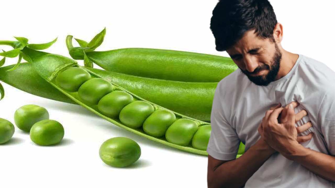 Heart Health : గుండె ఆరోగ్యానికి గ్రీన్ బఠానీ! Heart Health : గుండె ఆరోగ్యానికి గ్రీన్ బఠానీ!