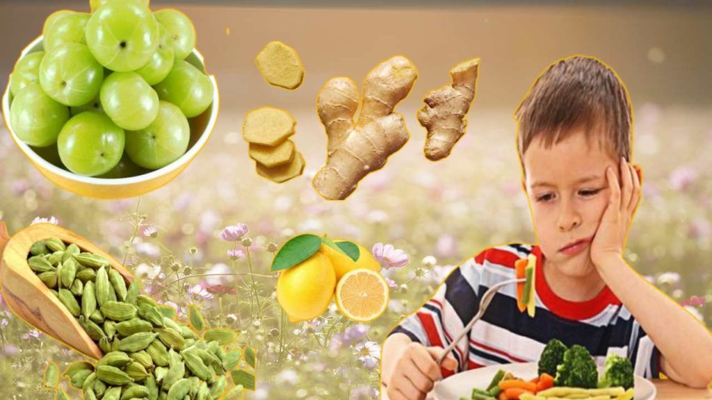 Increase Appetite