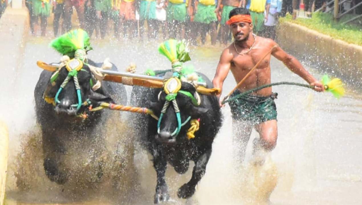 KAMBALA : కంబళ క్రీడలో రికార్డు సృష్టించిన నిశాంత్.. 8.36 సెకన్లలో 100 మీటర్లు పరుగు KAMBALA : కంబళ క్రీడలో రికార్డు సృష్టించిన నిశాంత్.. 8.36 సెకన్లలో 100 మీటర్లు పరుగు