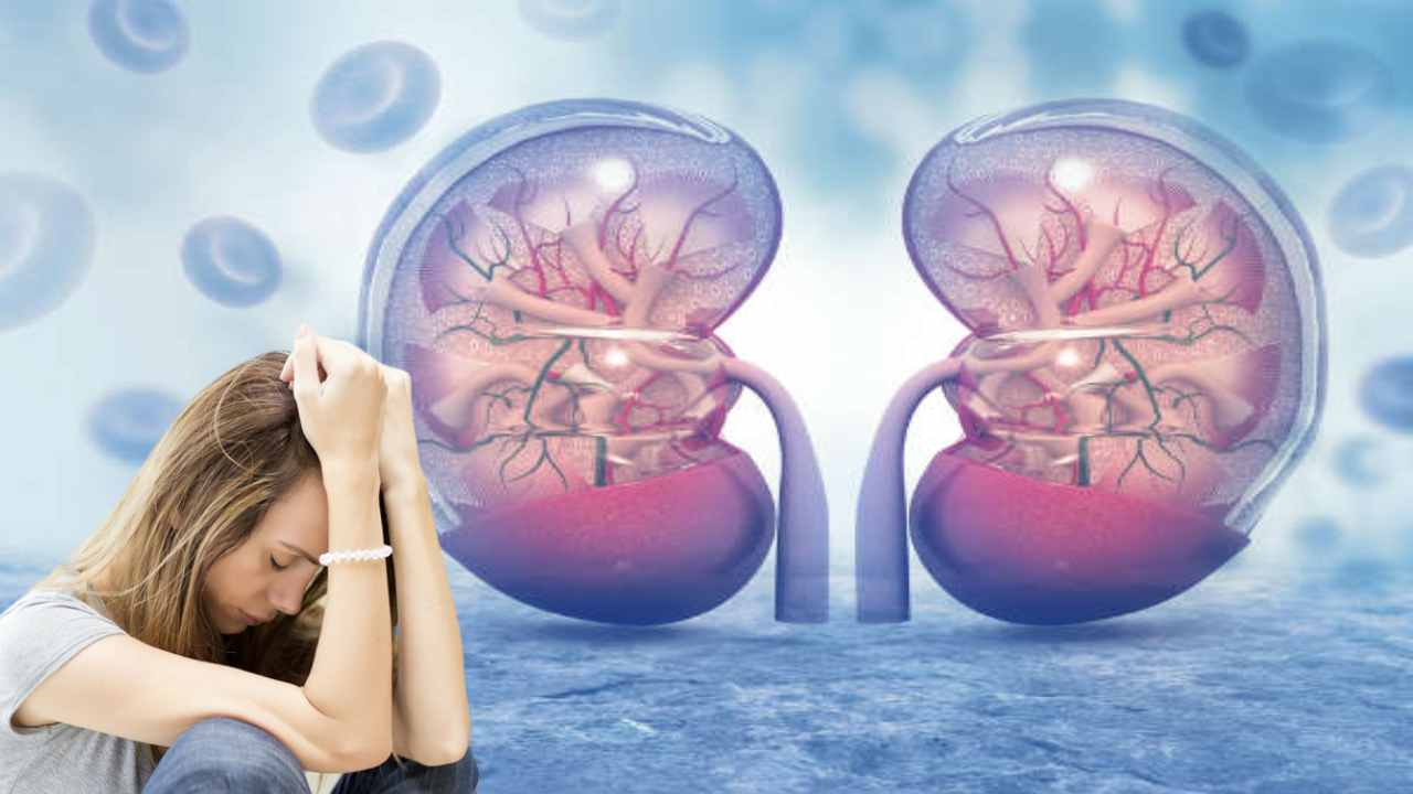 Kidney Disease : స్త్రీలకు కిడ్నీ వ్యాధుల ప్రమాదం ఎక్కువే? Kidney Disease : స్త్రీలకు కిడ్నీ వ్యాధుల ప్రమాదం ఎక్కువే?