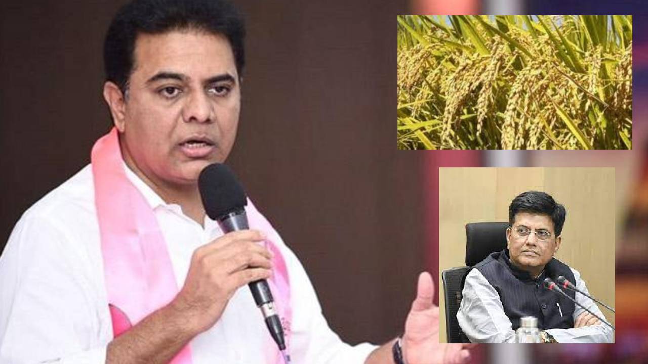 KTR On Paddy Procurement : మనల్ని నూకలు తినమన్న వాళ్లకు నూకలు లేకుండా చేద్దాం-కేటీఆర్ KTR On Paddy Procurement : మనల్ని నూకలు తినమన్న వాళ్లకు నూకలు లేకుండా చేద్దాం-కేటీఆర్