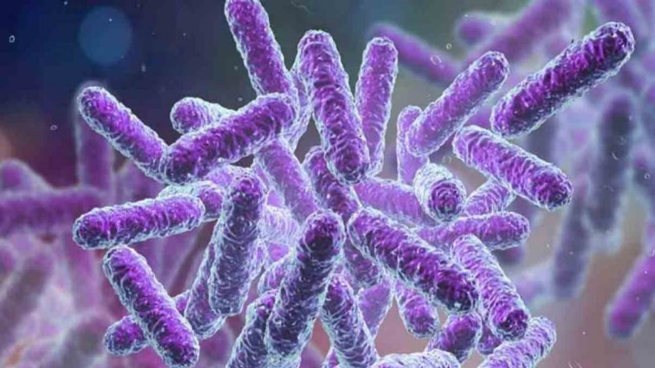 Shigella Infection : కేరళలో మళ్లీ షిగెల్లా విజృంభణ.. లక్షణాలు ఇవే! Shigella Infection : కేరళలో మళ్లీ షిగెల్లా విజృంభణ.. లక్షణాలు ఇవే!
