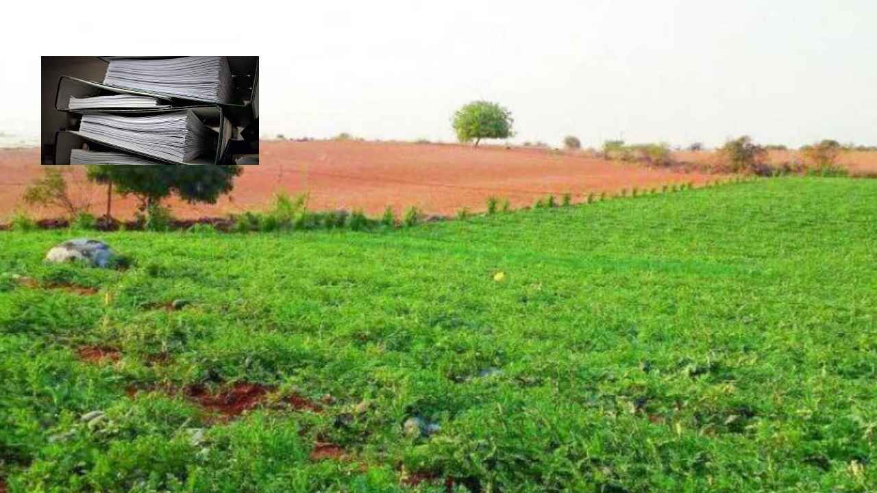 Land Mutations : భూముల రీసర్వే.. 2 నెలల్లో అందుబాటులోకి ఆటోమ్యుటేషన్ ప్రక్రియ- సాయి ప్రసాద్ Land Mutations : భూముల రీసర్వే.. 2 నెలల్లో అందుబాటులోకి ఆటోమ్యుటేషన్ ప్రక్రియ- సాయి ప్రసాద్