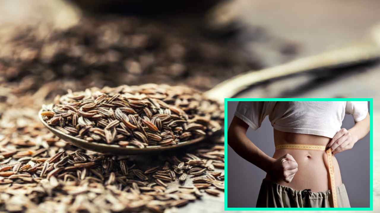 Lose Weight : ఒక టీస్పూన్ జీలకర్రతో ఈజీగా బరువు తగ్గొచ్చా? Lose Weight : ఒక టీస్పూన్ జీలకర్రతో ఈజీగా బరువు తగ్గొచ్చా?