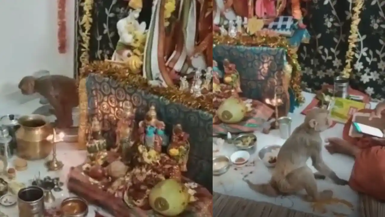 Money Attend Sri Rama Navami Festival
