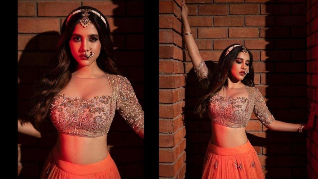 Nabha Natesh