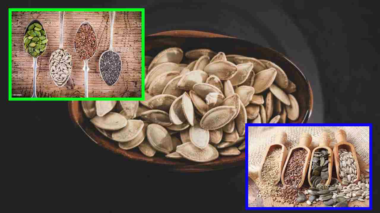 Hormonal Imbalance : మహిళల్లో హర్మోన్ల అసమతుల్యత, బరువు నియంత్రణ కోసం గింజలు Hormonal Imbalance : మహిళల్లో హర్మోన్ల అసమతుల్యత, బరువు నియంత్రణ కోసం గింజలు