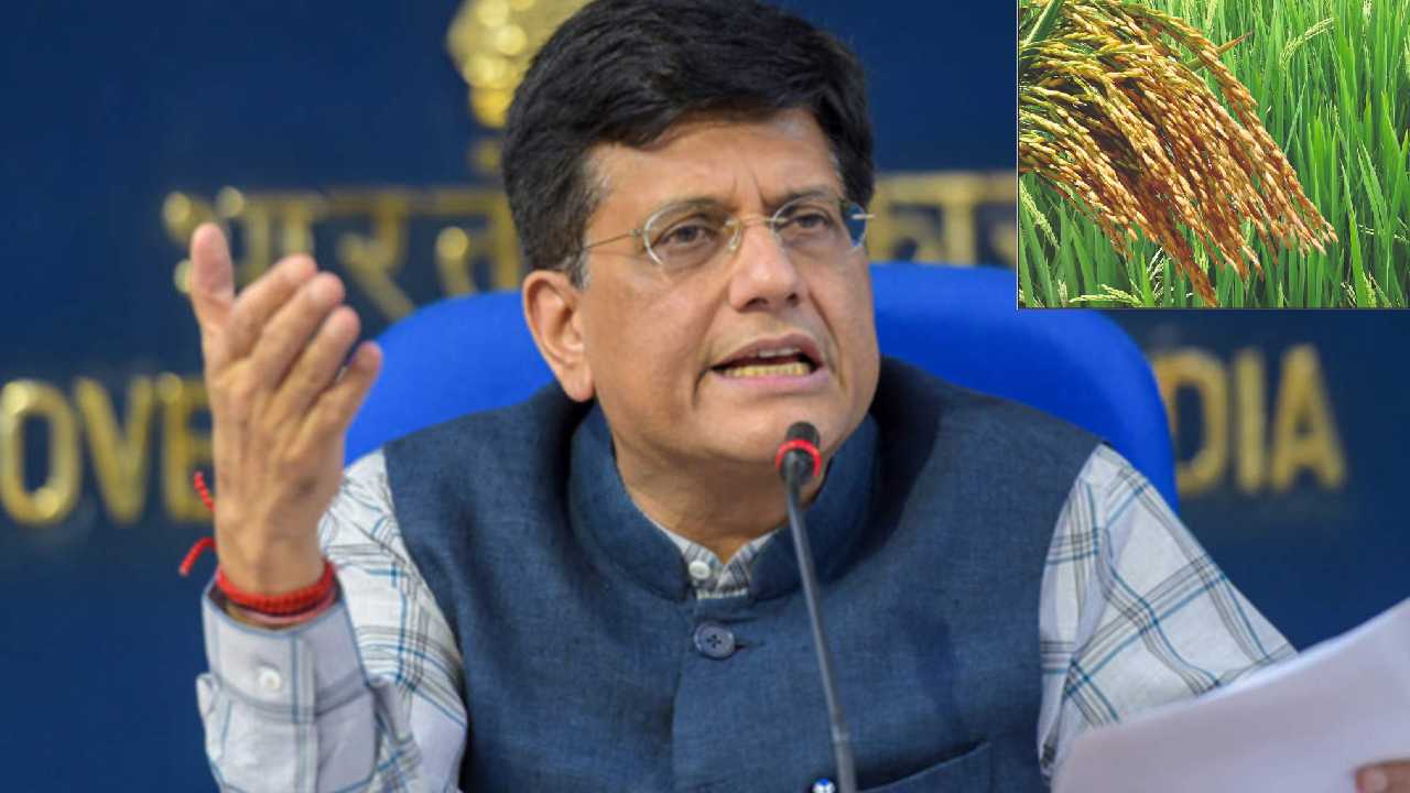 Piyush On Paddy Procurement : ధాన్యం సేకరణలో ఏపీ, తెలంగాణలో అవకతవకలు- పీయూష్ గోయల్ Piyush On Paddy Procurement : ధాన్యం సేకరణలో ఏపీ, తెలంగాణలో అవకతవకలు- పీయూష్ గోయల్