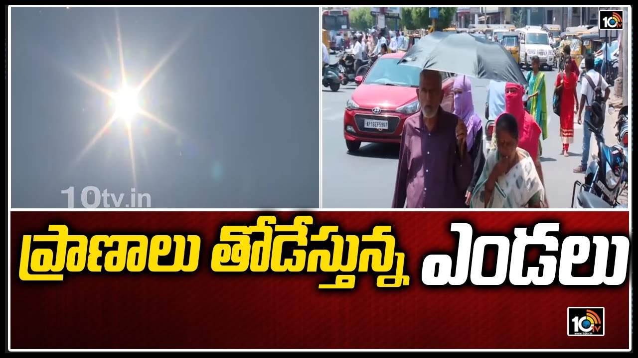 Heat Wave: ప్రాణాలు తోడేస్తున్న ఎండలు