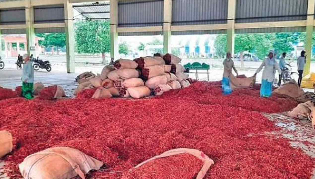 Record prices : దేశీయ మిర్చి రూ.55,551, పత్తి రూ.12,110.. ఆనందంలో అన్నదాతలు Record prices : దేశీయ మిర్చి రూ.55,551, పత్తి రూ.12,110.. ఆనందంలో అన్నదాతలు