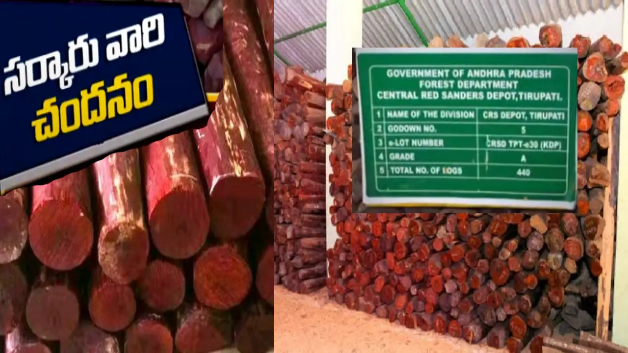 Red sandal : సర్కారు వారి ఎర్రచందనం వేలానికి కేంద్రం జాప్యం..తలనొప్పిగా మారిన భద్రత Red sandal : సర్కారు వారి ఎర్రచందనం వేలానికి కేంద్రం జాప్యం..తలనొప్పిగా మారిన భద్రత