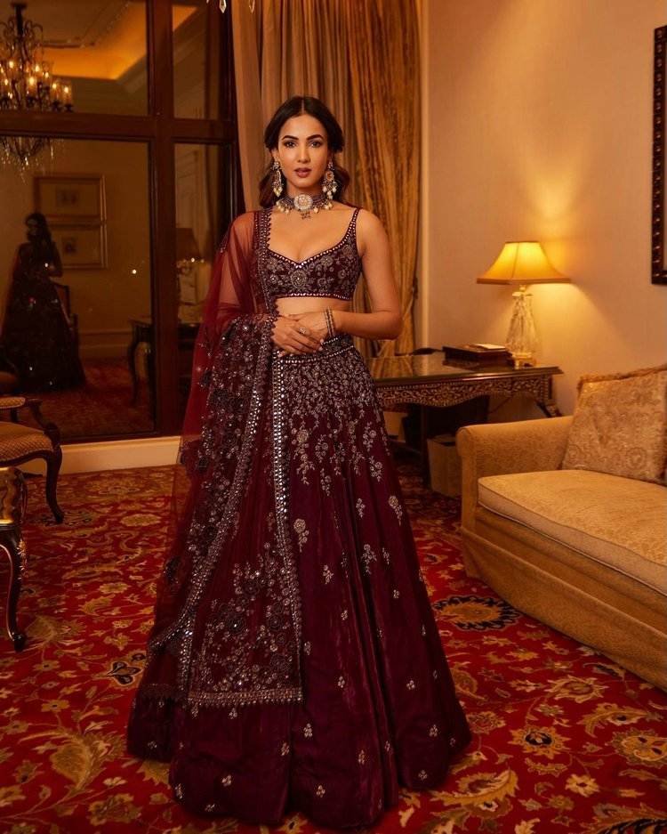 Sonal Chauhan2
