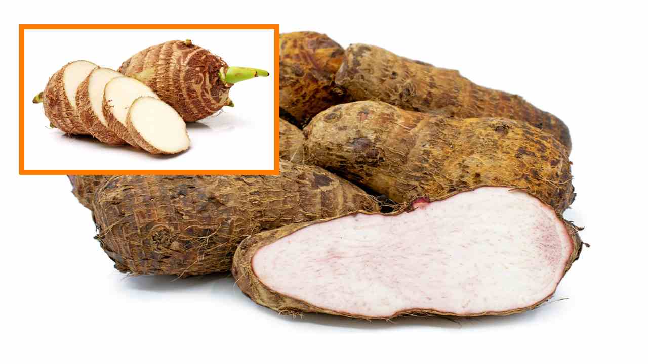 Taro Root : కొలెస్ట్రాల్, చక్కెర స్ధాయిలు తగ్గించే చామగడ్డలు Taro Root : కొలెస్ట్రాల్, చక్కెర స్ధాయిలు తగ్గించే చామగడ్డలు
