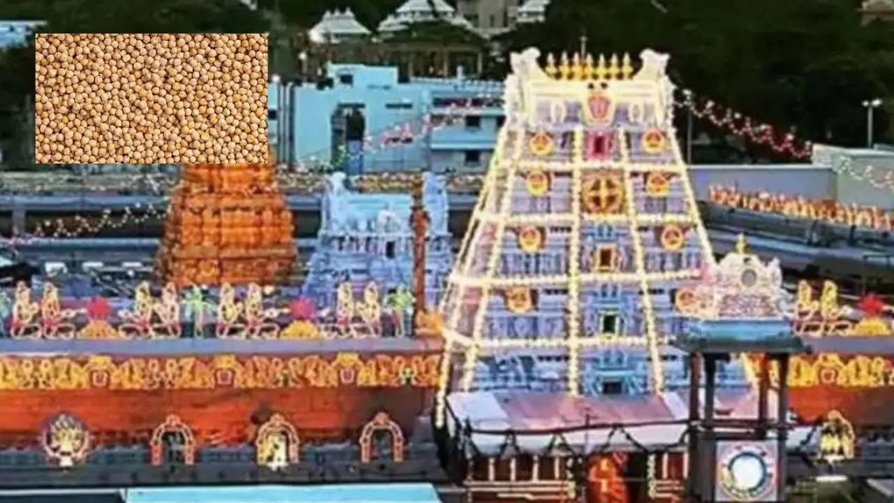 Tirupati : తిరుపతి చేరుకున్న 100 టన్నుల సేంద్రియ శనగలు Tirupati : తిరుపతి చేరుకున్న 100 టన్నుల సేంద్రియ శనగలు