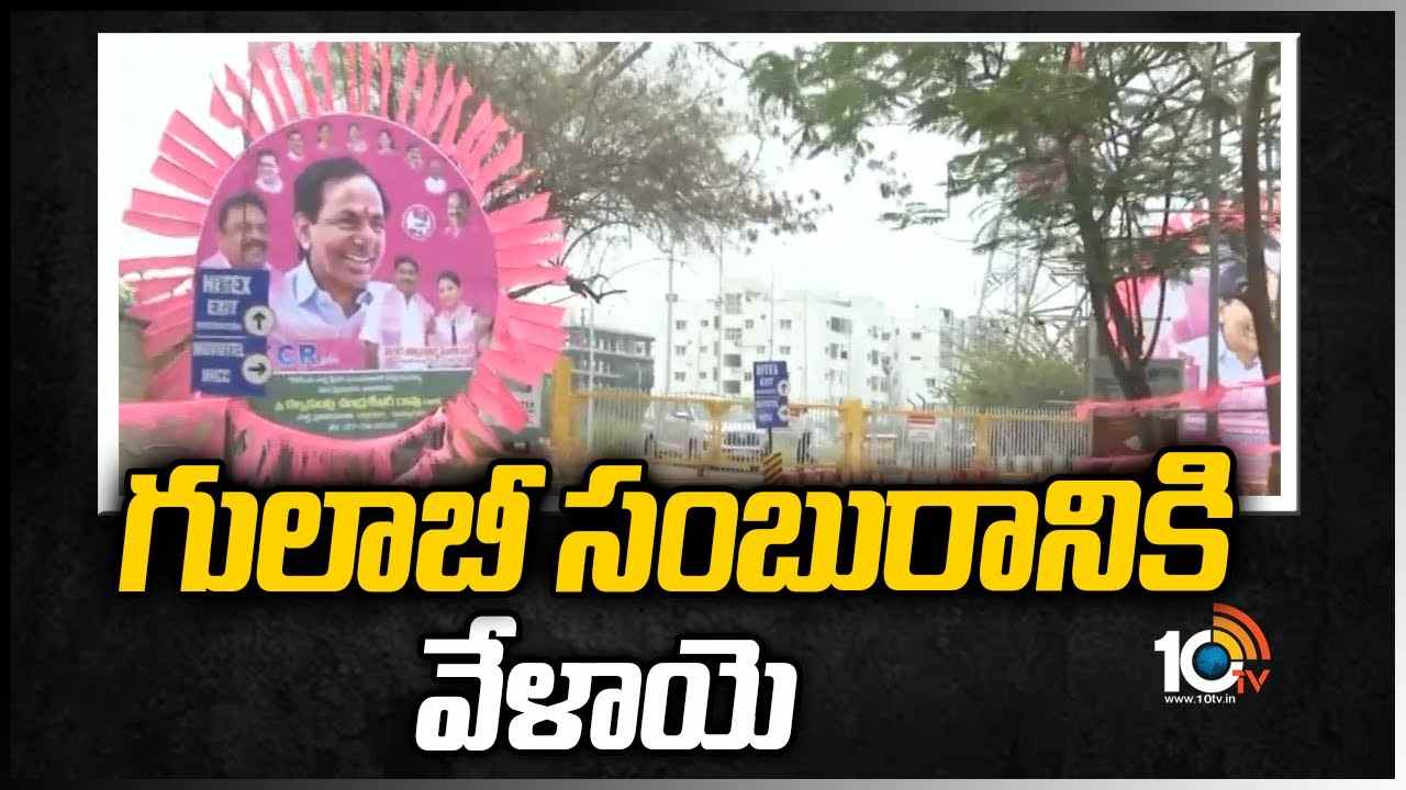 గులాబీ సంబురానికి వేళాయె