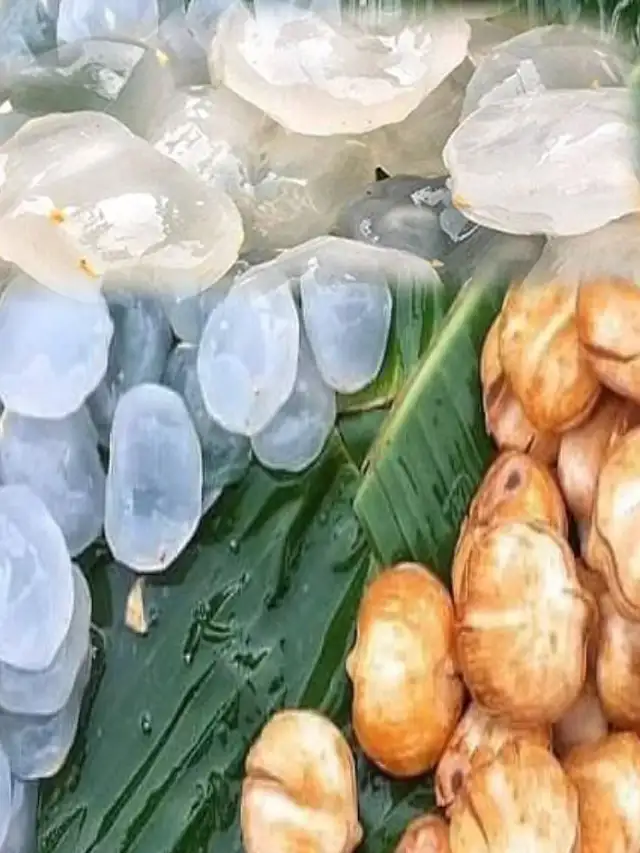 >ఆరోగ్యానికి మేలు చేసే తాటి ముంజలు
