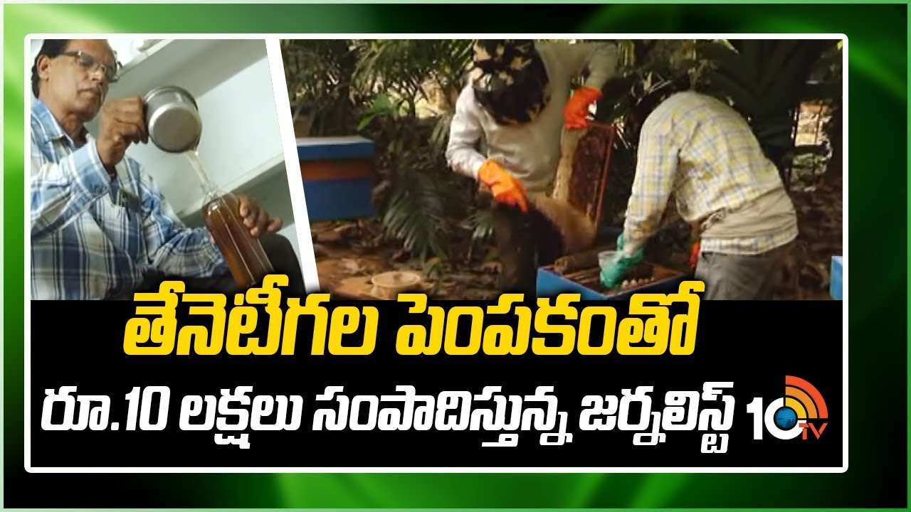 Bees Farming: తేనెటీగల పెంపకంతో రూ.10 లక్షలు సంపాదిస్తున్న జర్నలిస్ట్
