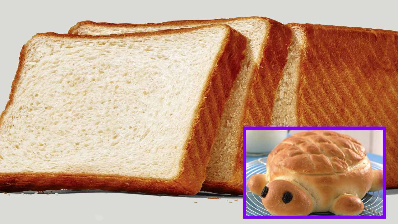 Bread : బ్రెడ్ అతిగా తింటున్నారా? మధుమేహం,గుండె జబ్బుల ప్రమాదం! Bread : బ్రెడ్ అతిగా తింటున్నారా? మధుమేహం,గుండె జబ్బుల ప్రమాదం!