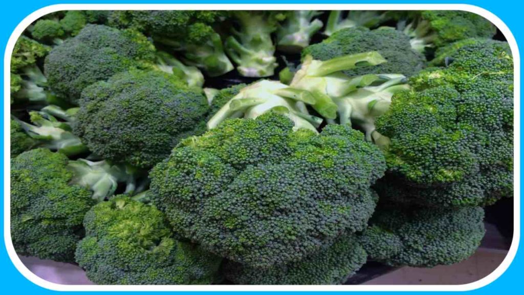 Broccoli