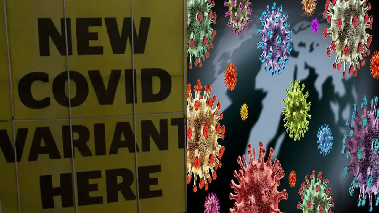 Covid-19 New Variants : మరో రెండు ఒమిక్రాన్ వేరియంట్లను గుర్తించిన పరిశోధకులు Covid-19 New Variants : మరో రెండు ఒమిక్రాన్ వేరియంట్లను గుర్తించిన పరిశోధకులు