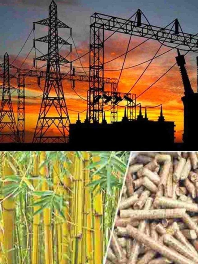 >వెదురు నుంచి విద్యుత్ ఉత్పత్తి