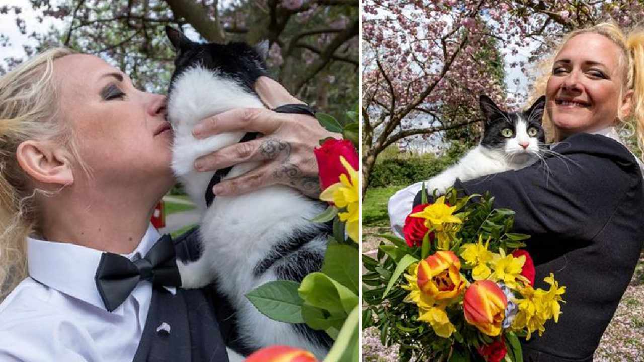 Woman Cat Marriage: ఇదేం విడ్డూరం: పిల్లిని పెళ్లి చేసుకున్న మహిళ Woman Cat Marriage: ఇదేం విడ్డూరం: పిల్లిని పెళ్లి చేసుకున్న మహిళ
